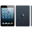 iPad mini A1432