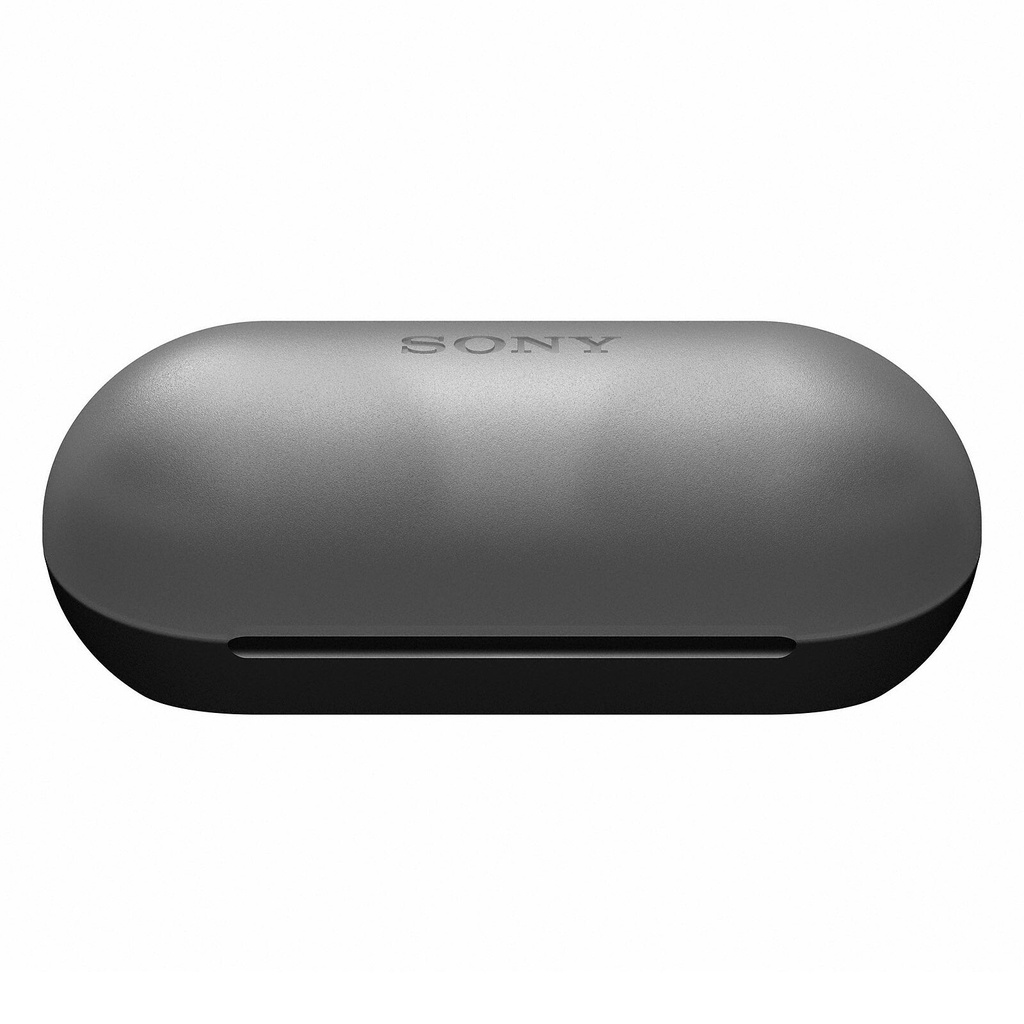Sony WF-C500/BZ Noir 