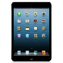 iPad mini A1432