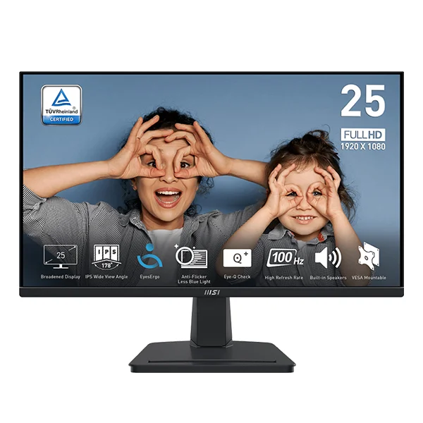 MSI PRO MP251